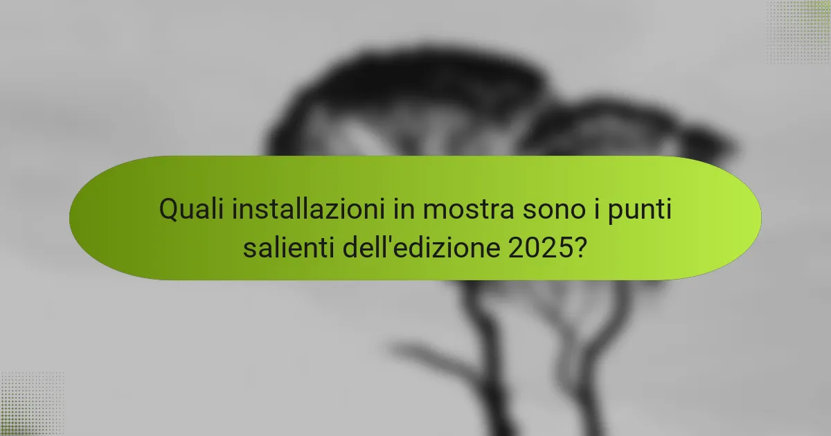 Quali installazioni in mostra sono i punti salienti dell'edizione 2025?