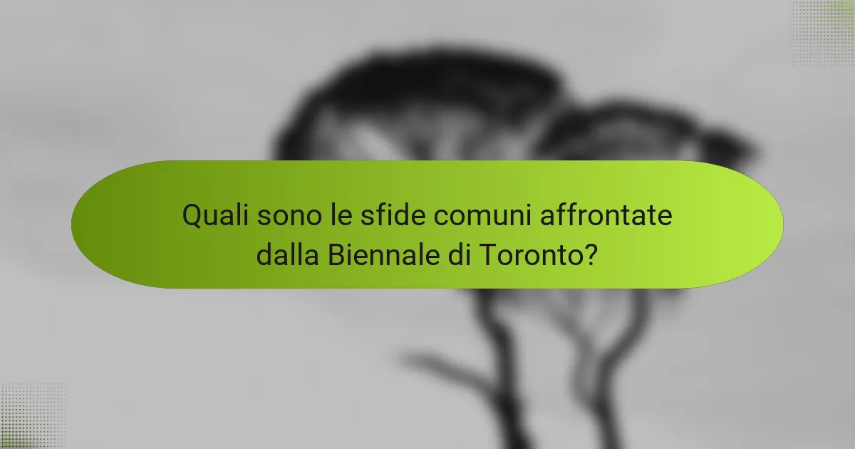 Quali sono le sfide comuni affrontate dalla Biennale di Toronto?